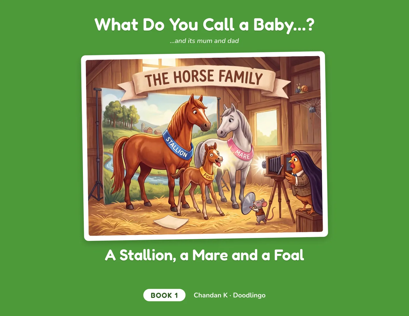 Cover of A Stallion, a Mare and a Foal, Book 1 edition