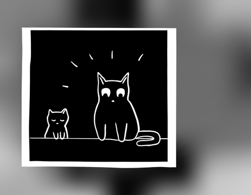 Input image being shown to first layer of cat nodes